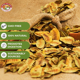 Angel Brand Senna pods in premium packaging for freshness.