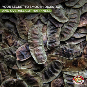 Angel Brand Senna pods for traditional uses in herbal tea crafting.