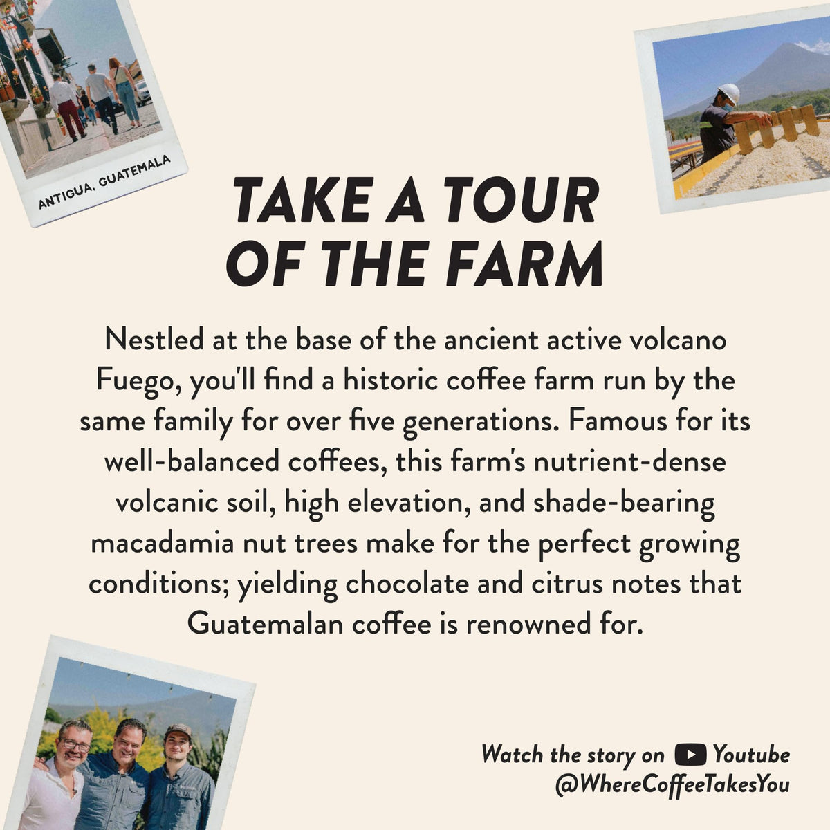 Angelino's Coffee family-farm-direct portrait emphasizing estate-grown quality.