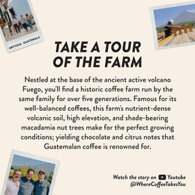Angelino's Coffee family-farm-direct portrait emphasizing estate-grown quality.