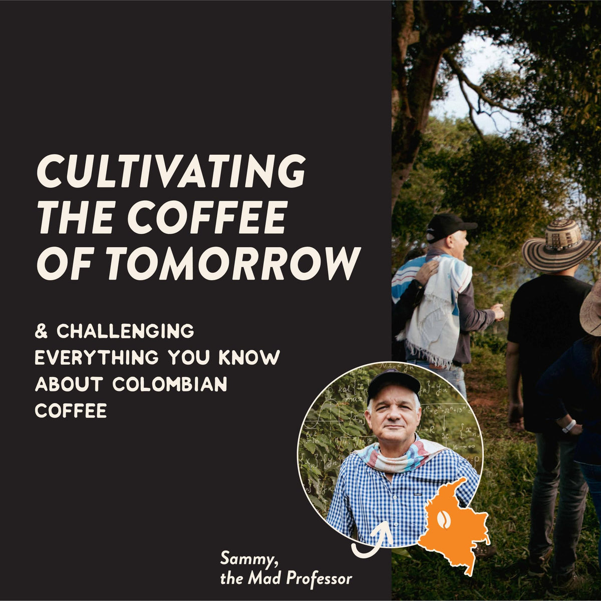 Angelino's Colombian Reserve Arabica beans deliver smooth flavors