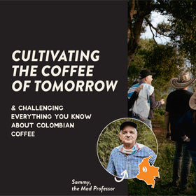 Angelino's Colombian Reserve Arabica beans deliver smooth flavors