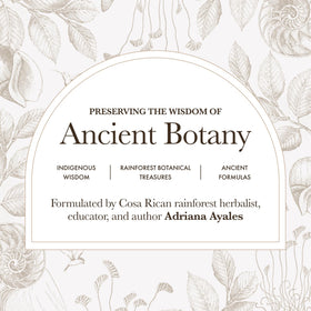 Anima Mundi rose petal powder a heart chakra-inspired ritual with soothing sensory cues
