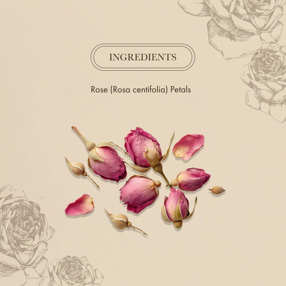 Anima Mundi rose petal powder poured into a cup shows subtle pink hue and flavor