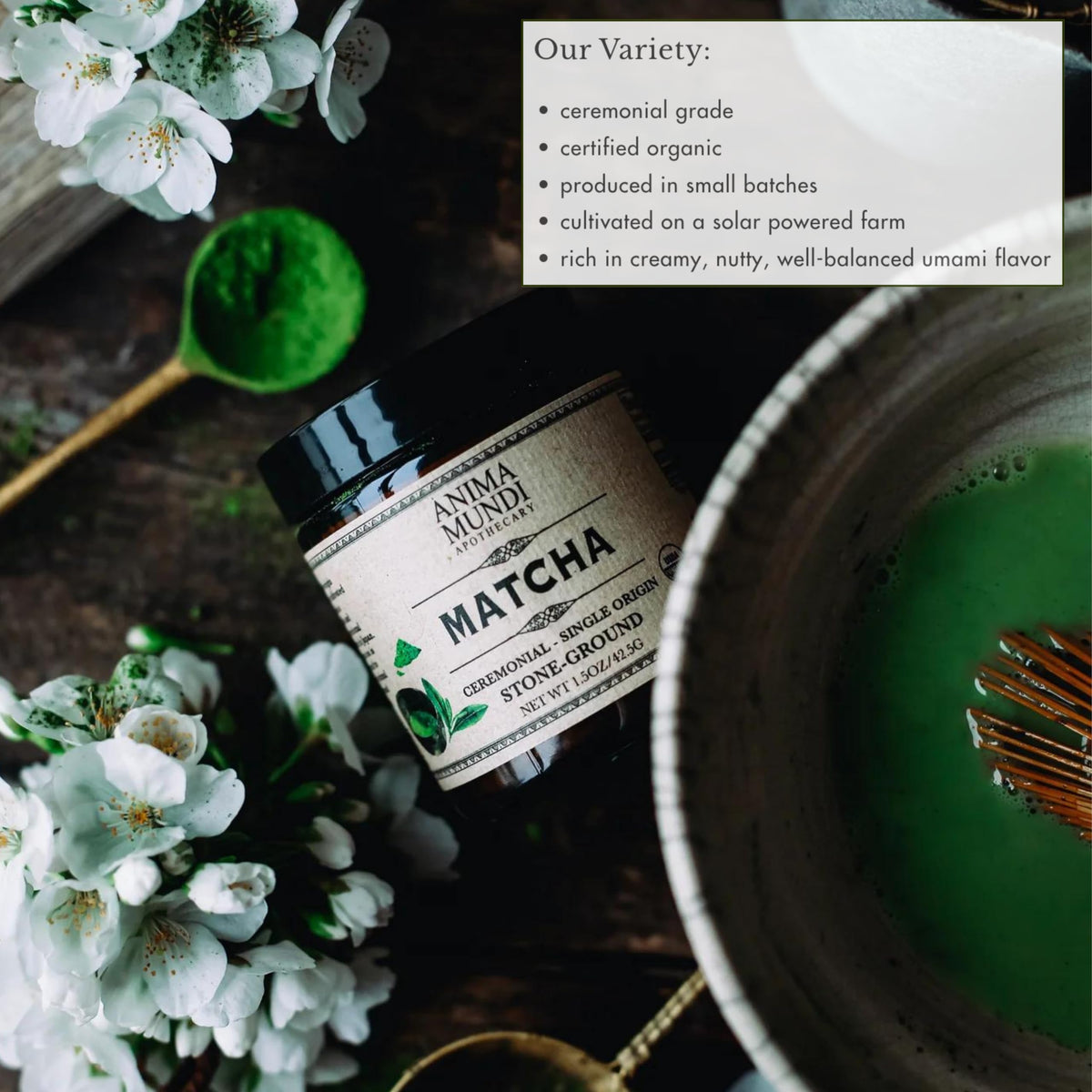 Anima Mundi Matcha stone-ground powder delivers a velvety, smooth cup.