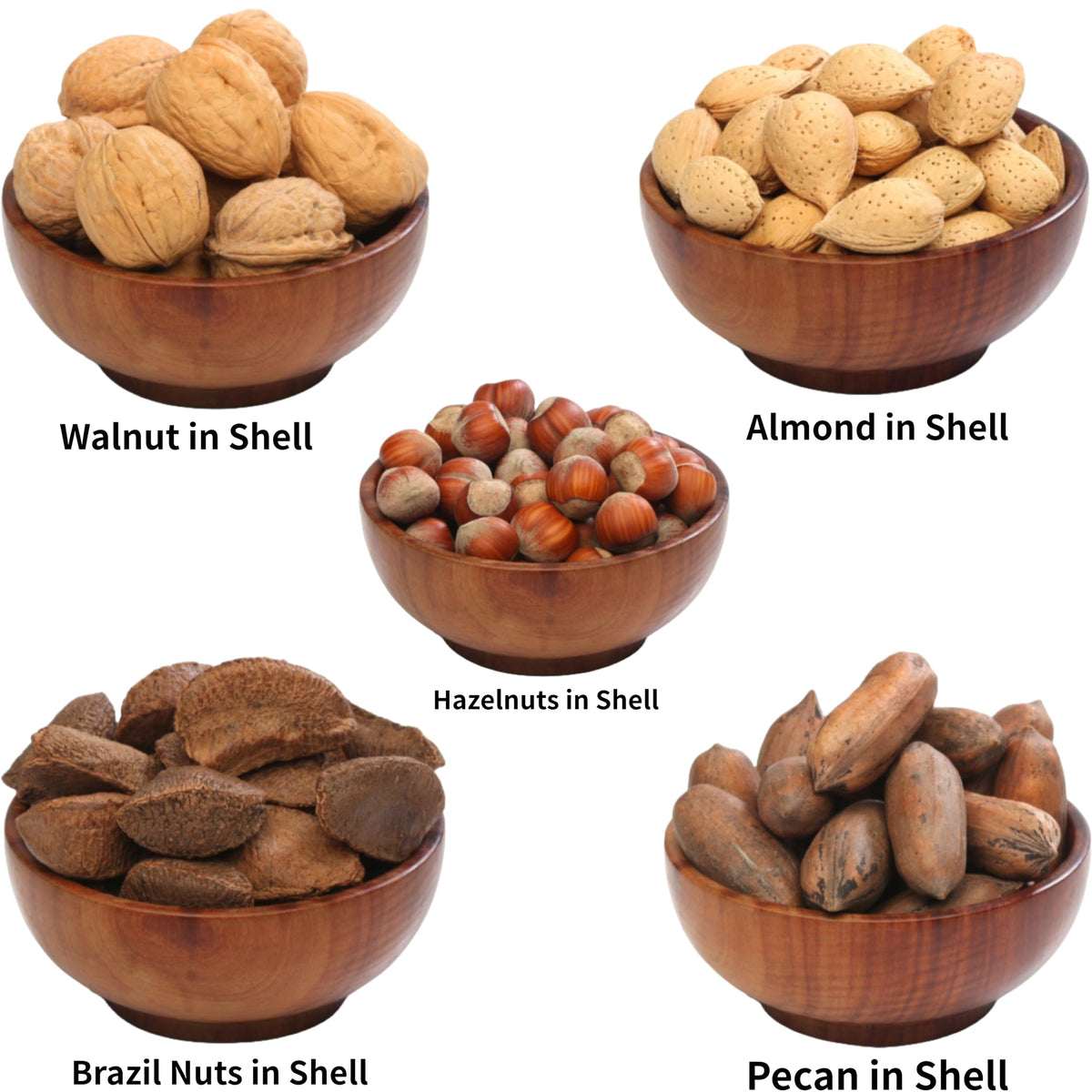 Anna and Sarah walnuts in shell California jumbo Chandler, perfect for snacking or baking