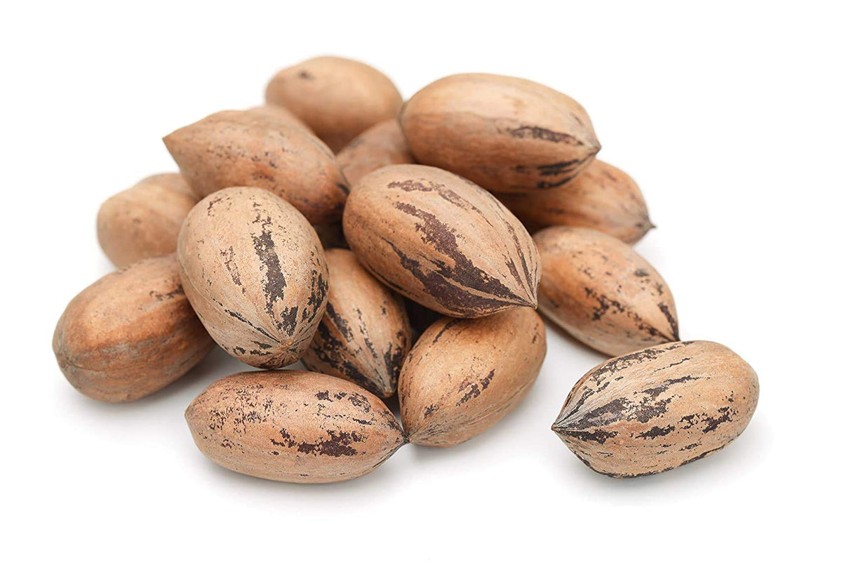 Anna and Sarah Georgian pecans in shell, fresh and ready for snacking.
