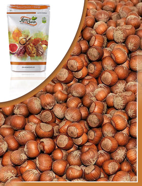 Anna and Sarah hazelnuts in-shell batch showing natural color and texture.