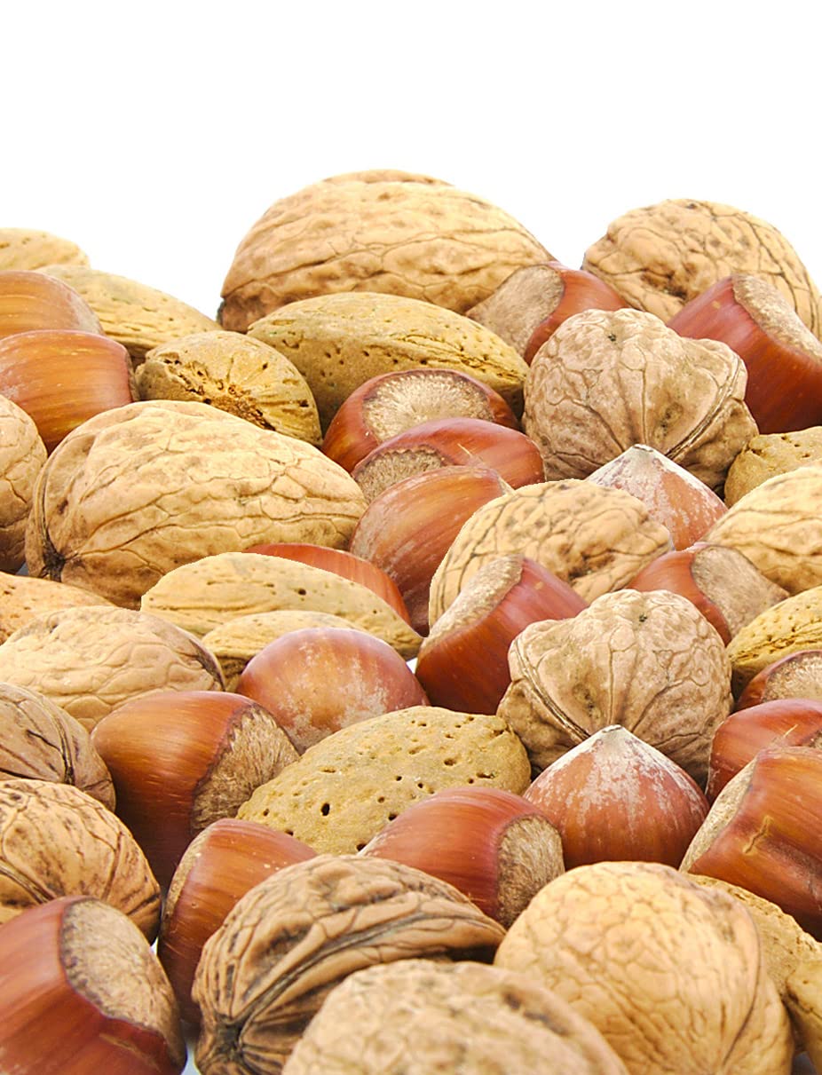 Anna and Sarah premium mixed nuts in shell, ideal for raw snacking.