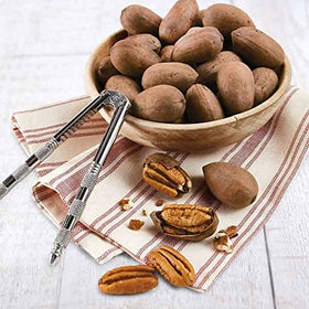 Raw pecans closeup from Anna and Sarah revealing creamy kernels through shell.