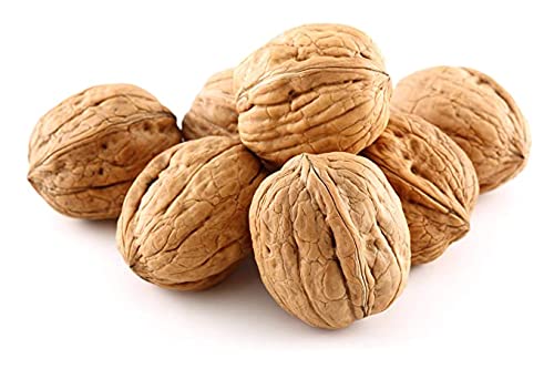 Anna and Sarah walnuts in shell, jumbo whole shells for easy cracking at home.