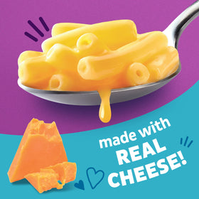 Cooked Annie's gluten-free pasta plated with creamy cheddar for kid-friendly meals.