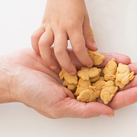 Annie's Honey Bunny Grahams lunchbox idea with bunny-shaped crackers.