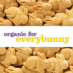 Annie's Honey Bunny Grahams no artificial flavors or colors.