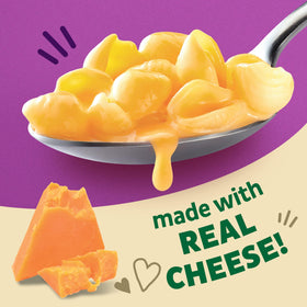 Annie's Organic Shells and Real Aged Cheddar served in a bowl, creamy comfort ready.