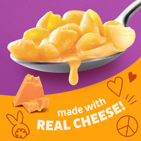 Annie's Shells and Real Aged Cheddar plated for a comforting weeknight meal.