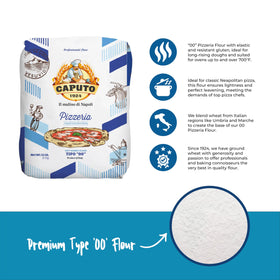 Antimo Caputo Pizzeria Flour Blue dough ball highlights elastic gluten