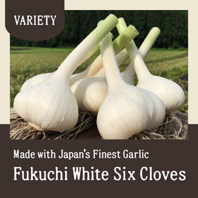 Aomori Farm Black Garlic 500g serving dish ready to plate flavor