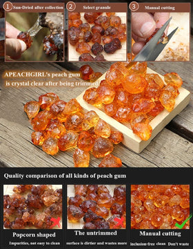 APEACHGIRL Yunnan Peach Gum soaking scene demonstrates overnight prep for gelatinous texture