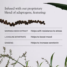 Aplos ARISE label-closeup showcases premium adaptogen blend and flavor.