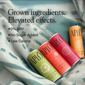 Aplós Chili Margarita can highlighting adaptogens for a social boost