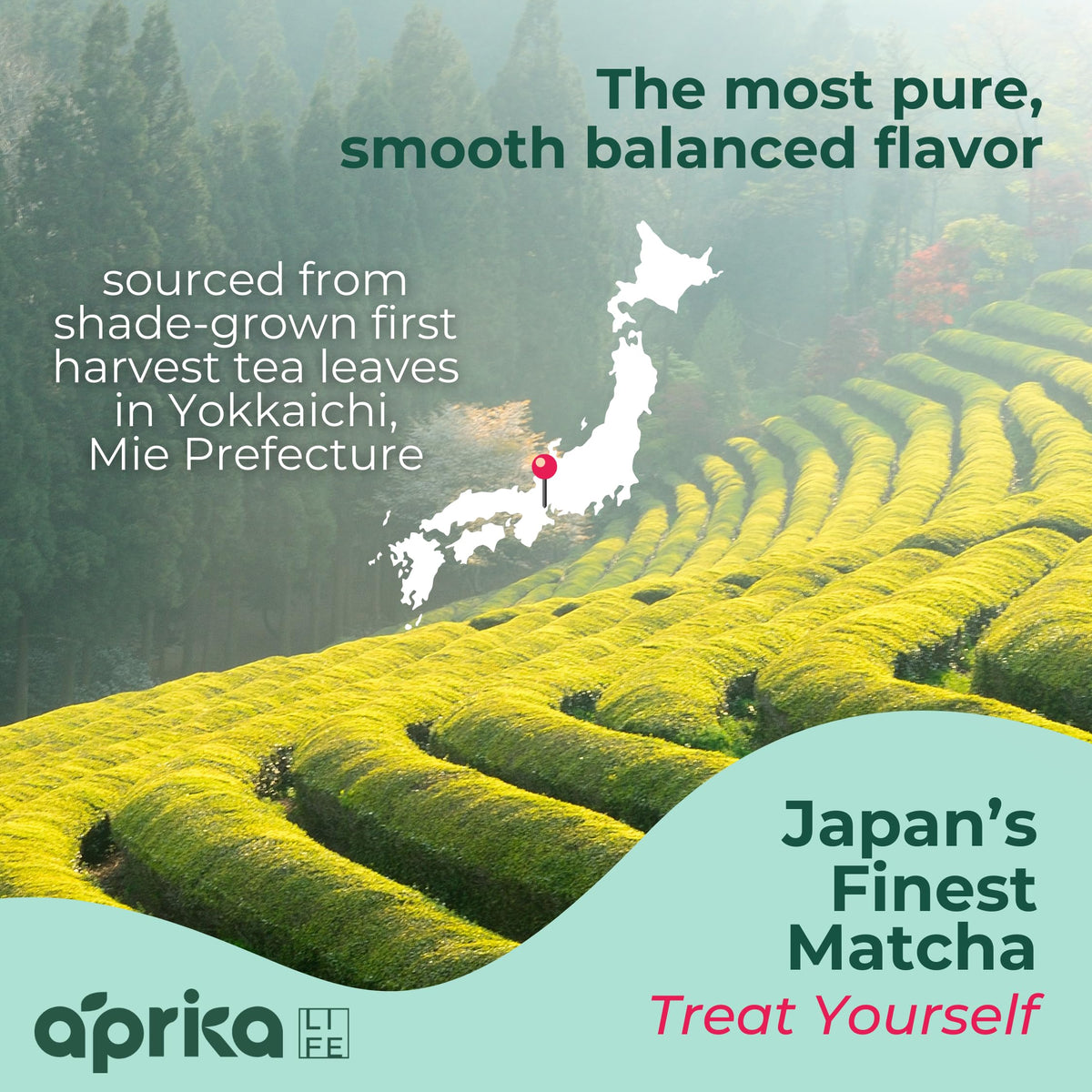 AprikaLife first-harvest yabukita leaves highlight premium origin.