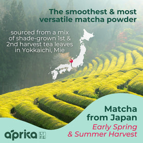 AprikaLife matcha latte foam demonstrates creamy beverage potential