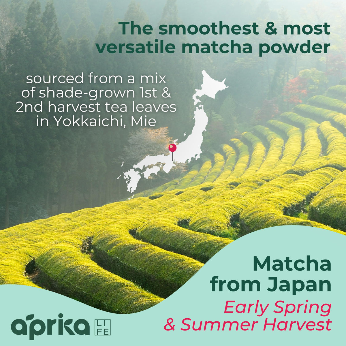 AprikaLife smoothie bowl with bright matcha powder for a nutrient-rich start
