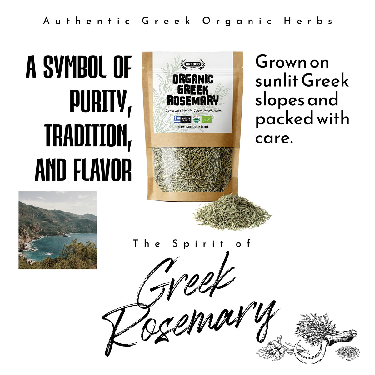APSOGO Greek-origin rosemary from sun-rich fields for Mediterranean cuisine