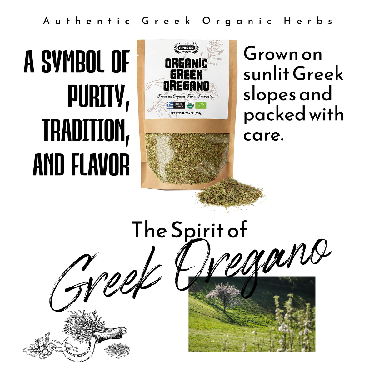 Apsogo Organic Greek Oregano in a marinade bowl for flavorful grilling.