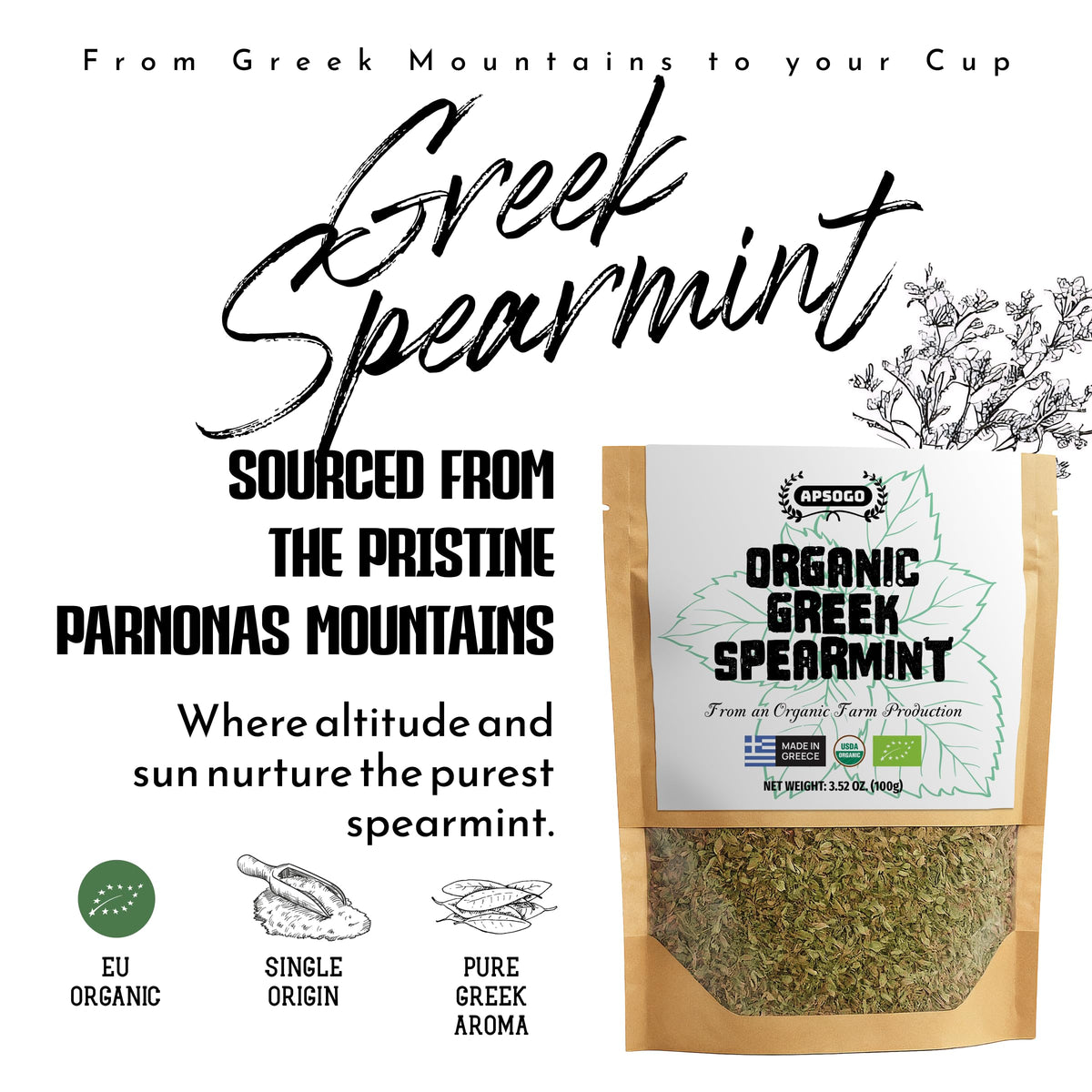 Apsogo Organic Greek Spearmint leaves brew a bright, caffeine-free tea.