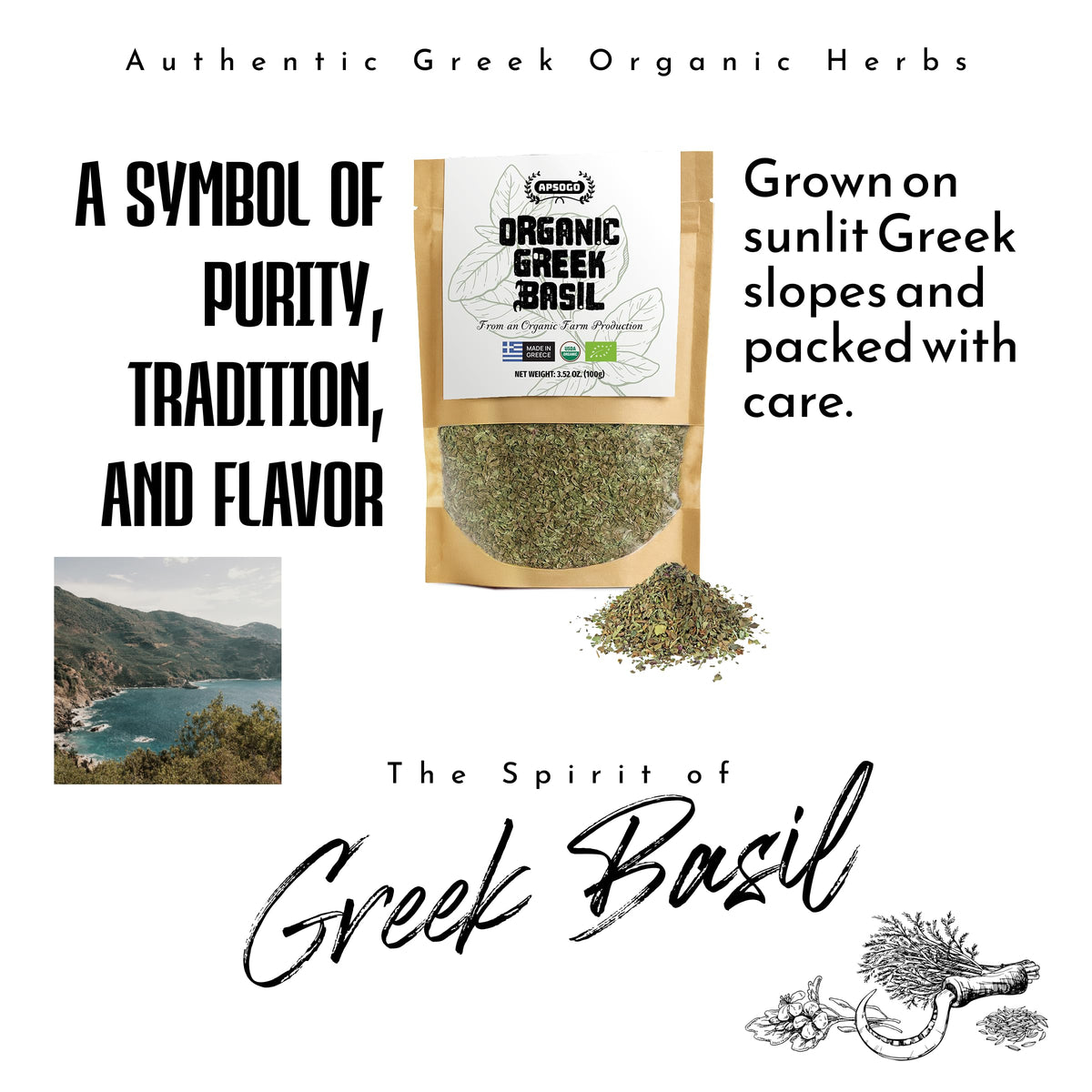 Apsogo pizza sauce with basil note boosts Italian-inspired dishes.