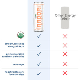 ARDOR Energy can shows 30mg natural sea salt for electrolytes.