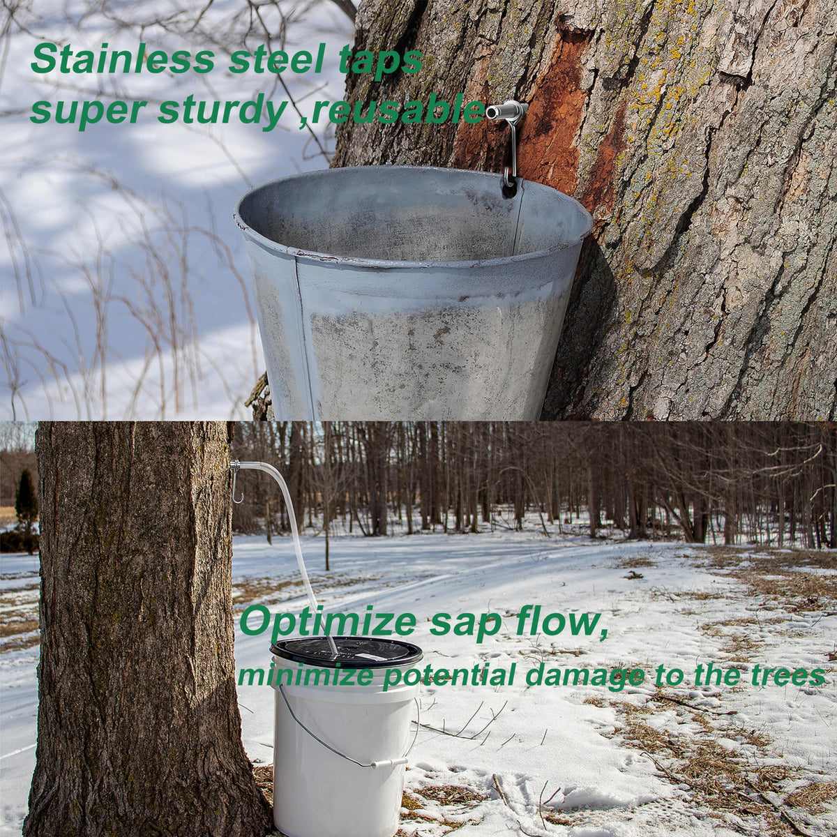 ARGCONNER upgraded stainless steel spiles improve durability and tree safety