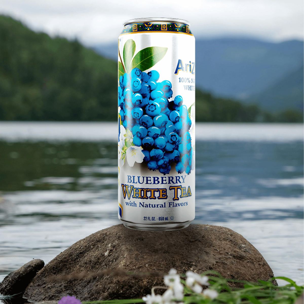 Pack of 12 AriZona Blueberry White Tea cans for gatherings or on the go