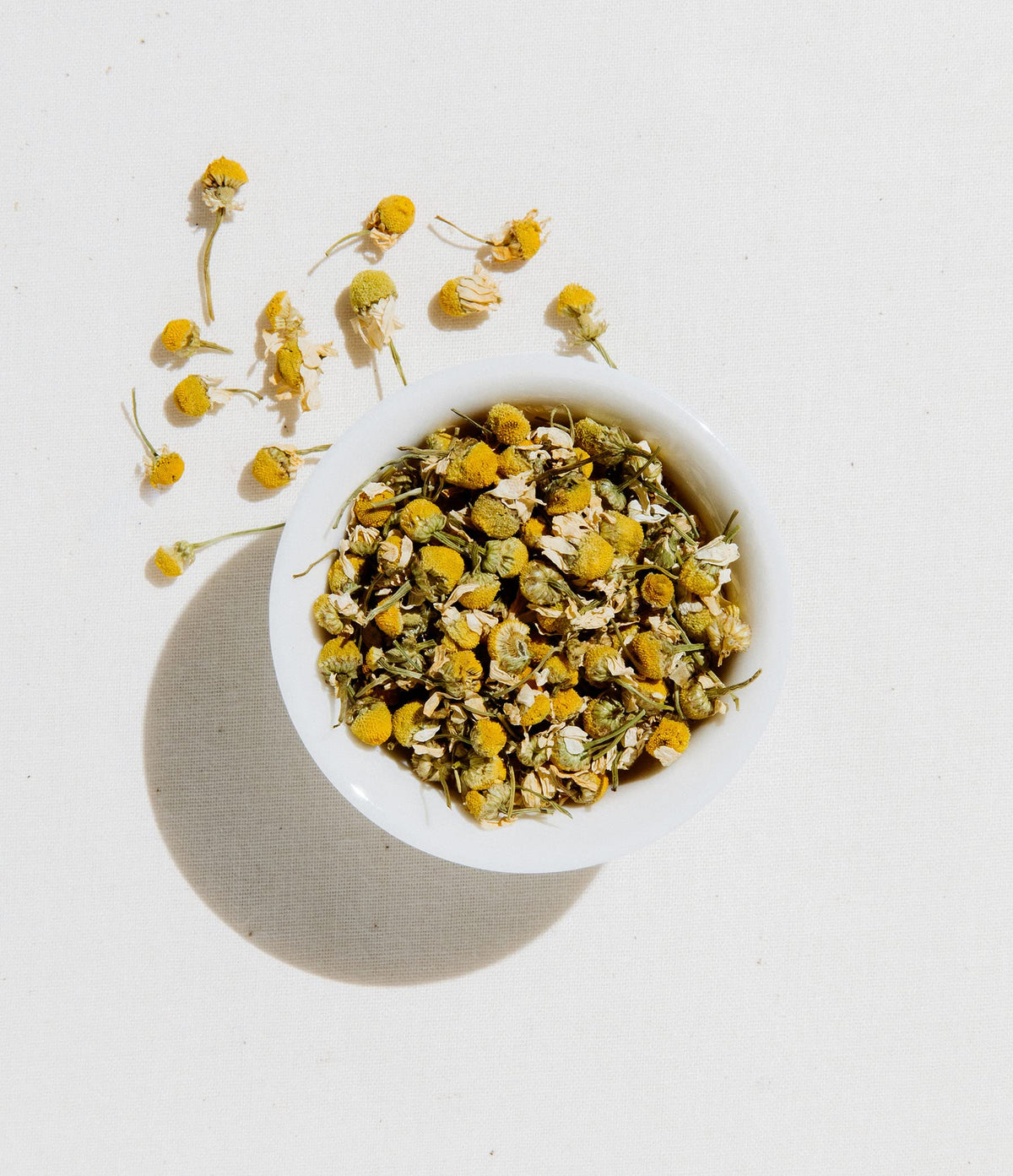 Art of Tea signature PLA sachets highlight eco-friendly packaging.