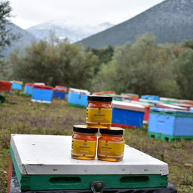 Artemisio honey pour-glide - smooth drizzle from forest pine honey
