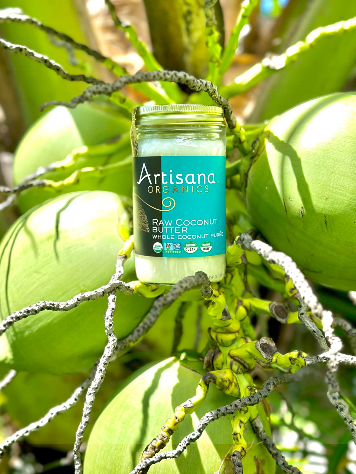 Artisana Coconut Butter spoon dip highlights wholesome flesh for bowls