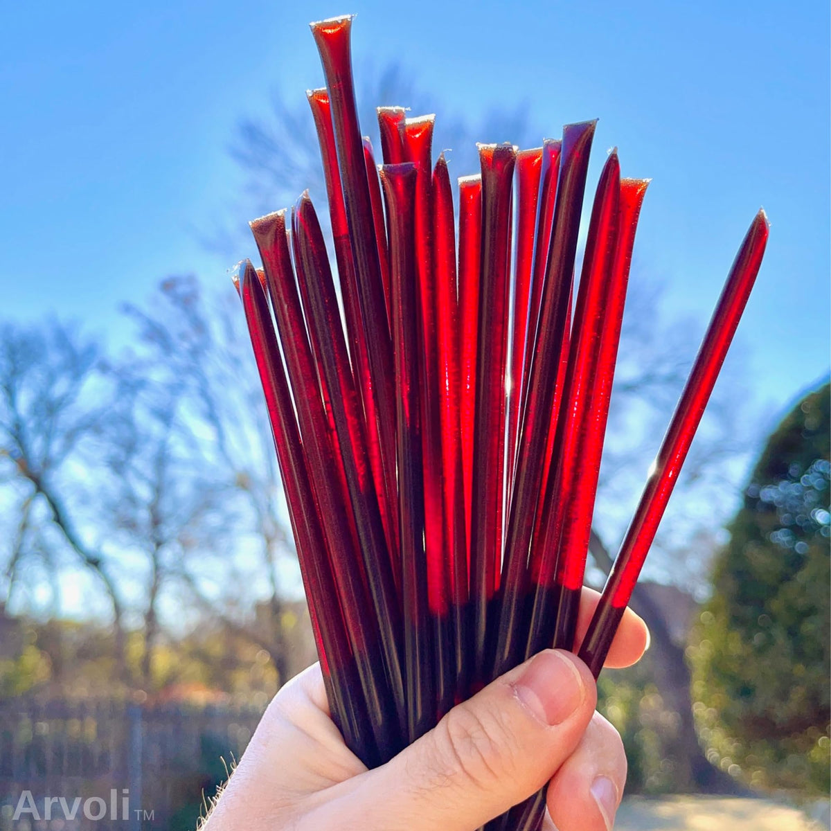 Arvoli Elderberry Honey Sticks in kids' lunchboxes, a wholesome school snack.