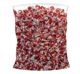 Assortit sugar free cinnamon hard candy discs bulk bag on display; perfect for sharing.