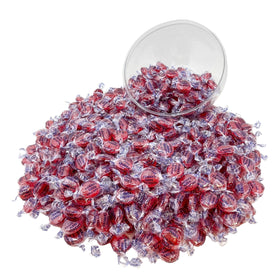 Assortit sugar free cinnamon hard candy discs individually wrapped for on the go freshness.