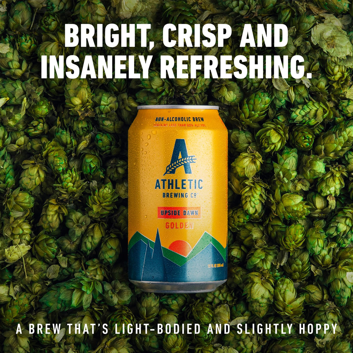 Label close up highlights vegan low calorie non alcoholic beer benefits