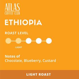 Atlas Coffee Club single-origin Yirgacheffe pod highlighting berry notes.