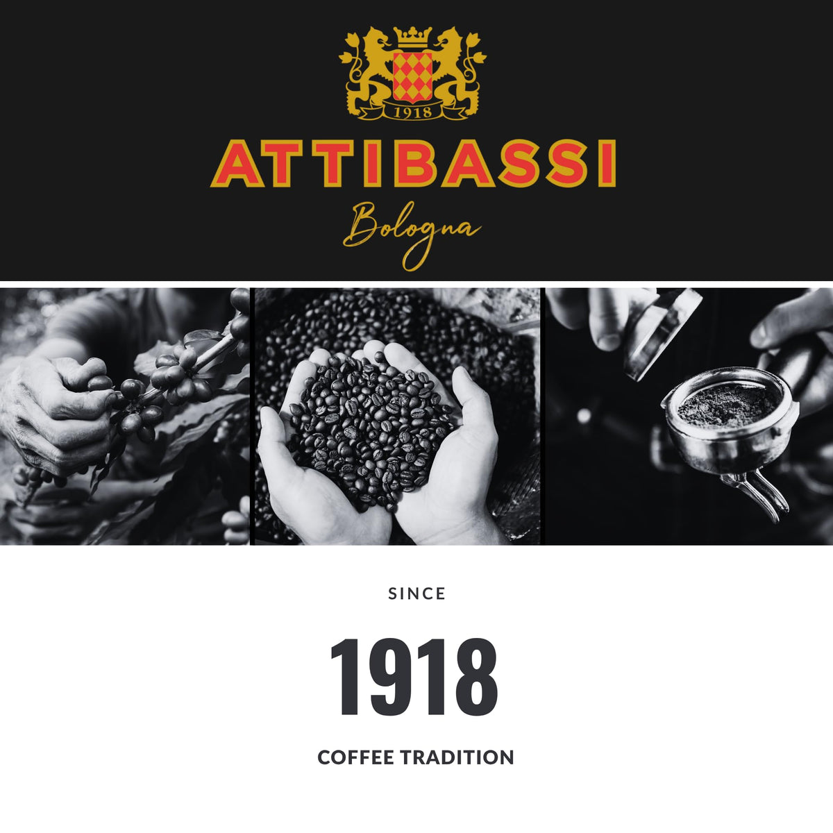 Attibassi piercing-tips guidance for perfect crema during extraction.