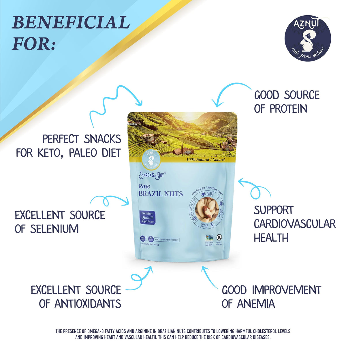 AZNUT Brazil Nuts raw closeup reveals creamy texture and rich, nutty aroma.