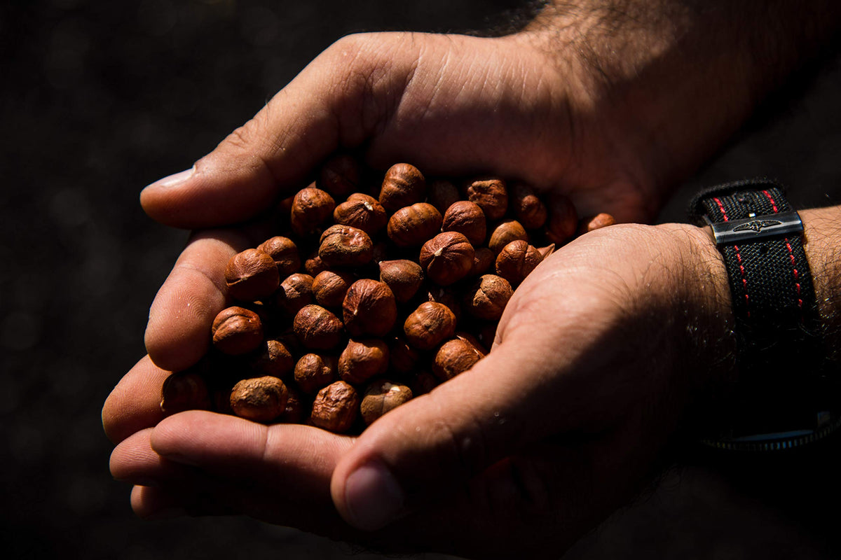 AZNUT hazelnuts are gluten-free, non-GMO, and kosher for mindful snacking.