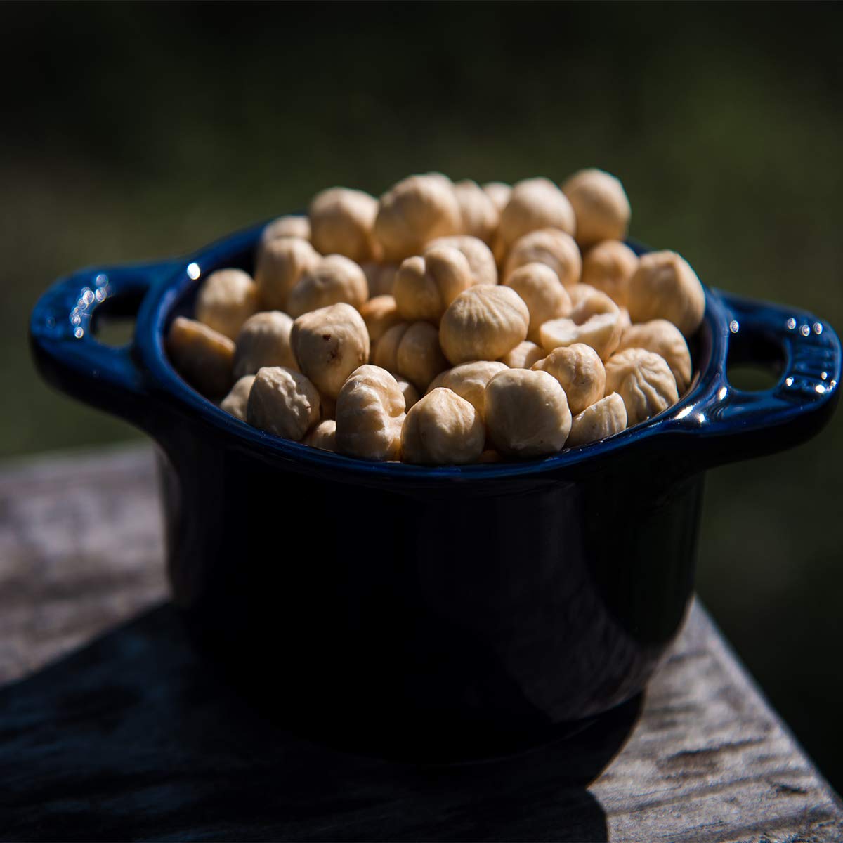AZNUT hazelnuts ready for on-the-go snacking.