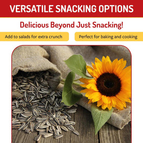 Babkin’s Seeds Babkini Red Seed Cracker in-pack, crunchy addition for trails and lunches.