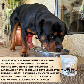 Back 40 Dogs serving bowl with powder demonstrates simple hydration addition