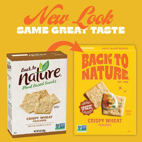 Back To Nature Crispy Wheat Crackers texture close-up, inviting crunch.